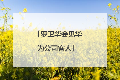 罗卫华会见华为公司客人